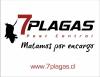 7 PLAGAS-fumigaciones