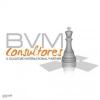 Bvm Consultores